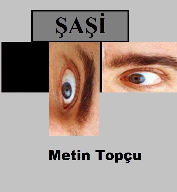 METİN TOPÇU’NUN ŞAŞİ İSİMLİ KİTABINI YAYINA HAZIR