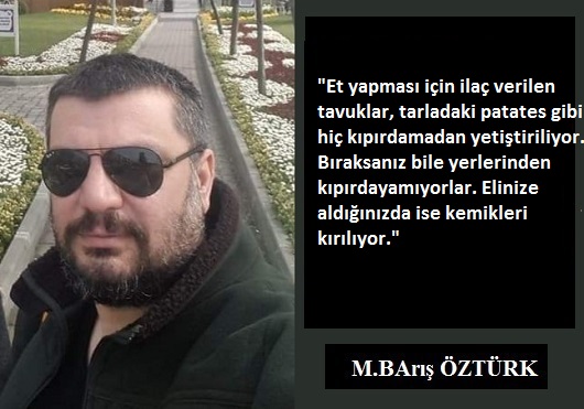 TAVUK VE PALAMUTTAN EGE DENİZİNE…