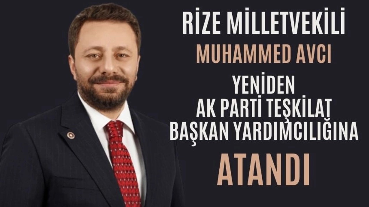 Avcı Yeniden Teşkilat Başkan Yardımcılığına Atandı